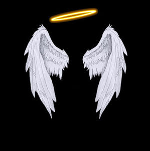 Meet your Posher, Flor